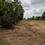 Denver Metro Land Clearing Services